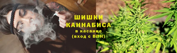 ешки Аркадак