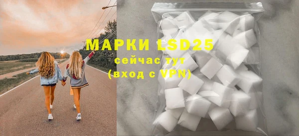 ешки Аркадак