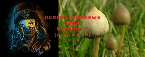 ешки Арсеньев