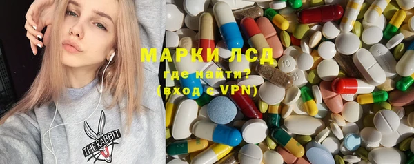 ешки Аркадак