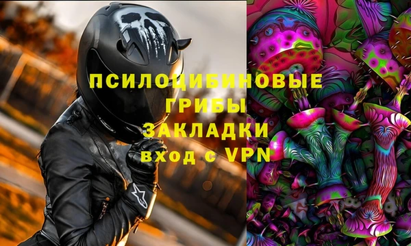 ешки Арсеньев